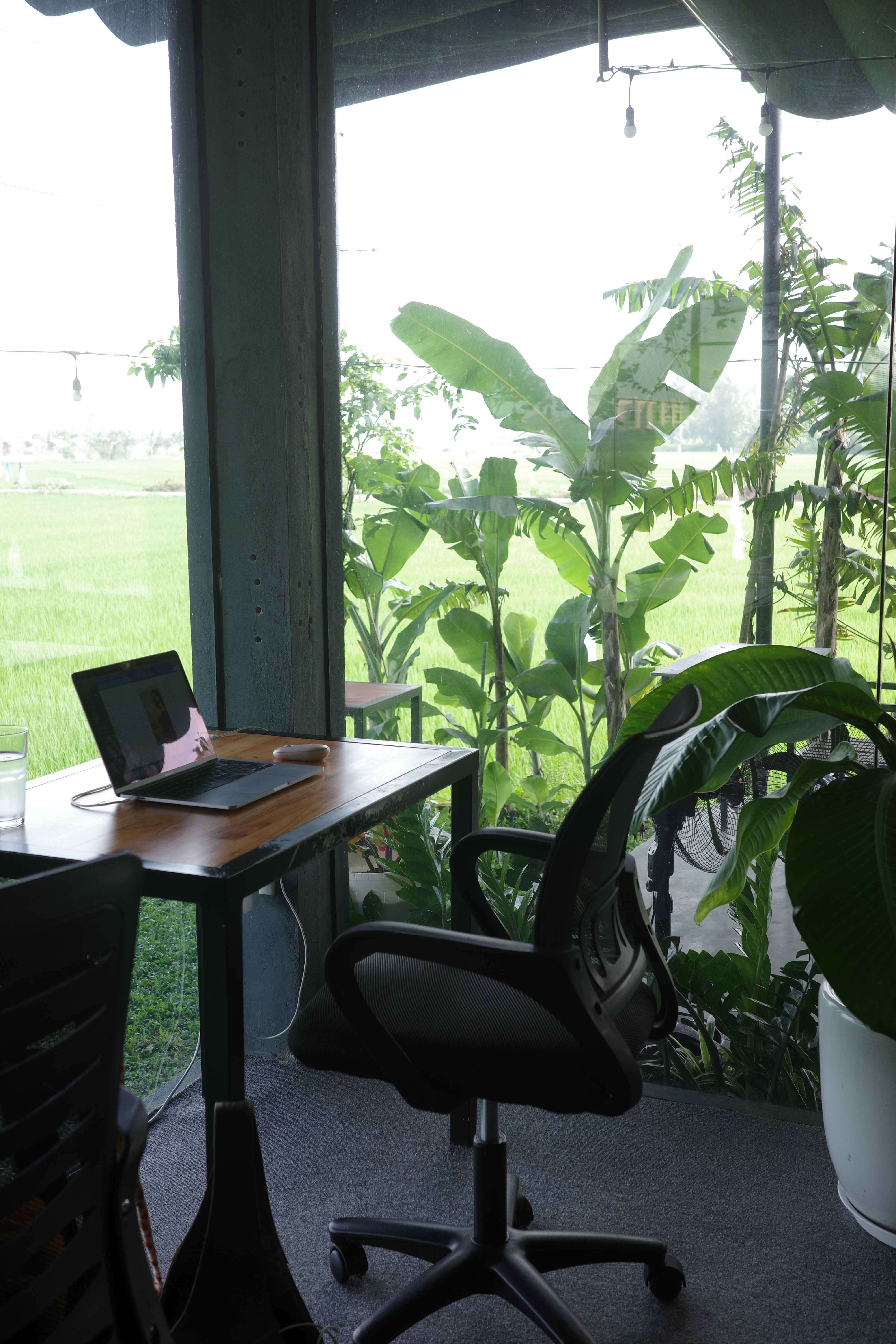 Peaceful workspace overlooking nature